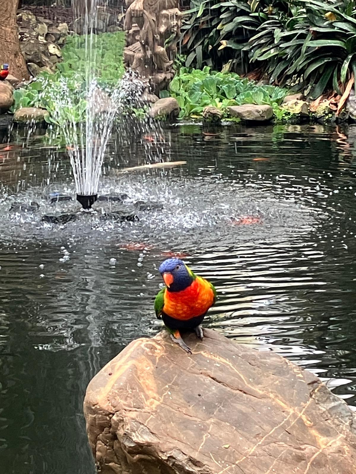 Foto 43 bij artikel "Uitje naar de Orchideenhoeve in Luttelgeest".